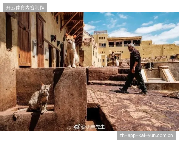 摩洛哥沿用世界杯四强防守体系,哈兰德受困于对手链式防守难有作为 摩洛哥沿用世界杯四强防守体系,哈兰德受困于对手链式防守难有作为